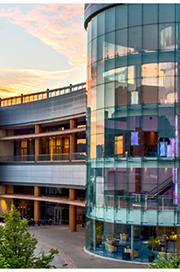 About BetRivers Sportsbook